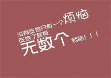 爱情公寓之无数愿望
